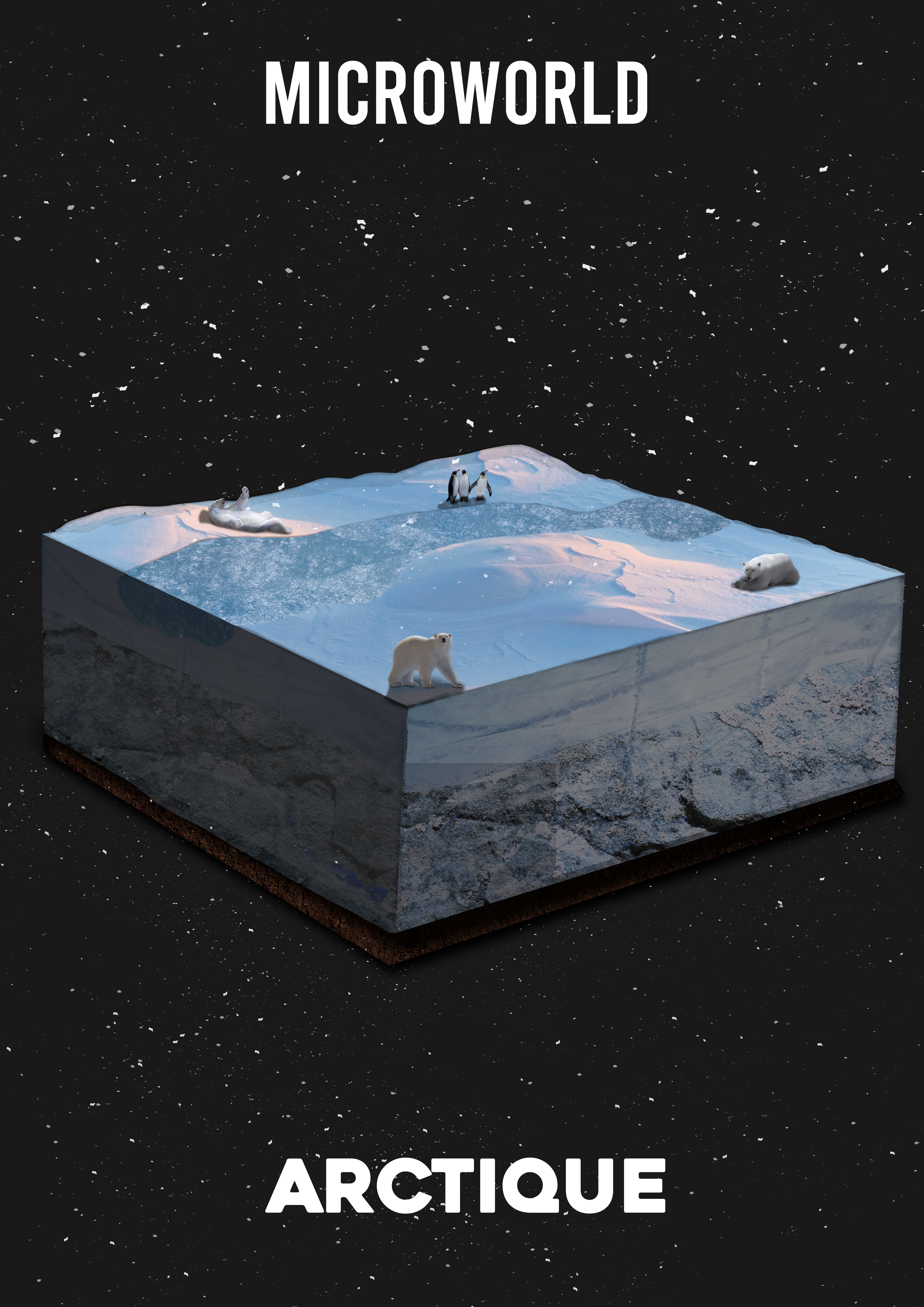 Microworld banquise